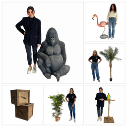 [locpac48] Décopack Jungle