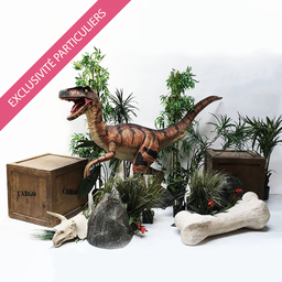 [locswe01] Sweetpack Dinosaure