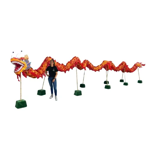 [locasi70] Dragon chinois - 10m