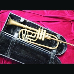 [locjaz10] Trompette - 50cm