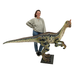 [locdin14] Dinosaure Dilong Paraloxus crete orange - 140cm