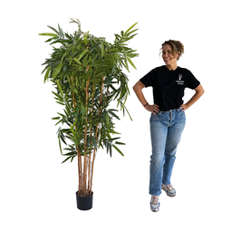 [locveg10] Bambou - 190 à 230cm