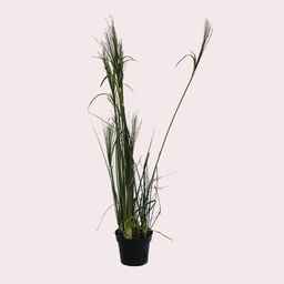 [locjun54] Plante grasse papyrus - 115cm