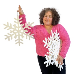[locnoe185] Lot de 10 flocons 2D - 20 à 55cm
