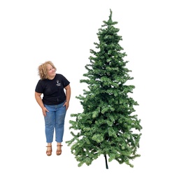 [locnoe209] Sapin vert - 260cm