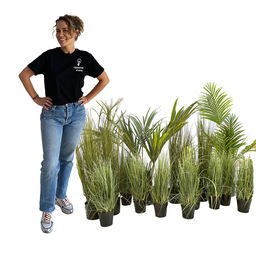 [locveg15] Kit végétation basse - XL