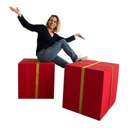 [locnoe274] Assise cadeau de Noël - 50cm
