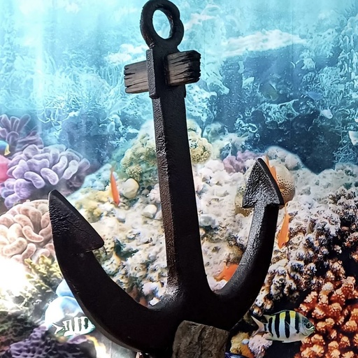 [locpla47] Ancre sur roche - 196cm