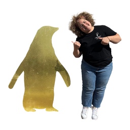 [locnoe43] Pingouin 2D doré - 130cm