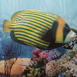 [locpla12] Poisson rayé - 117cm