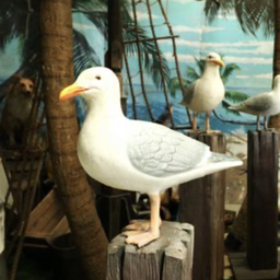 [locpla4] Mouette sur poteau - 150cm