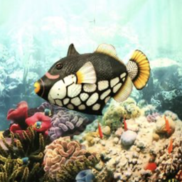 [locpla54] Poisson noir et blanc - 126cm