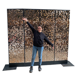 [locpro11] Fond sequins or gold - 230cm