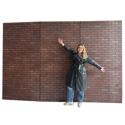 [loccin133] Mur effet brique - 250cm