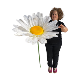 [locfle10] Marguerite - 150cm