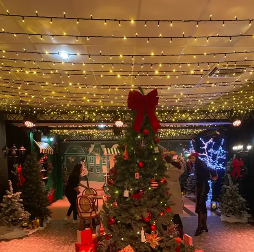 [locnoe72] Ciel de guirlandes lumineuses