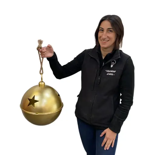 [locnoe98] Grelot de Noël doré - 42cm