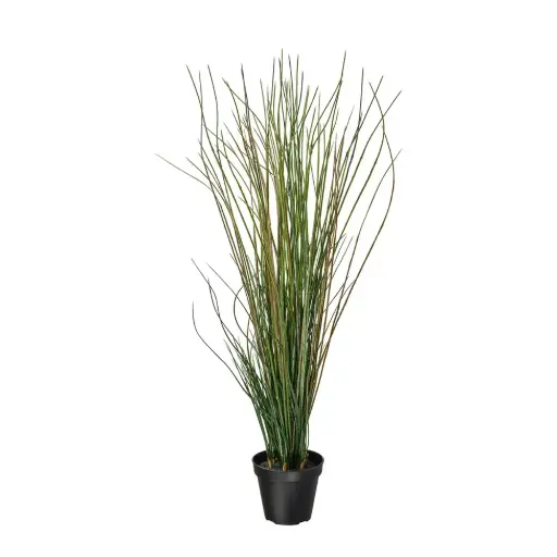 [locveg41] Plante grasse en pot - 100cm