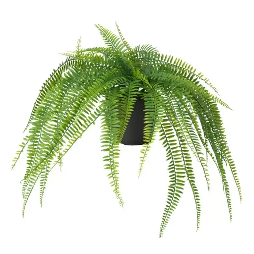 [locveg43] Plante fougère - 45cm