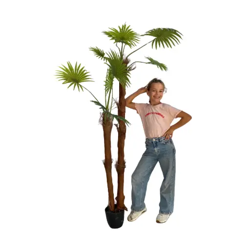 [locveg3] Palmier triple - 200cm