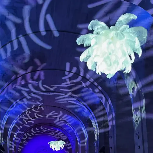 [locpar76] Lustre plumes blanches