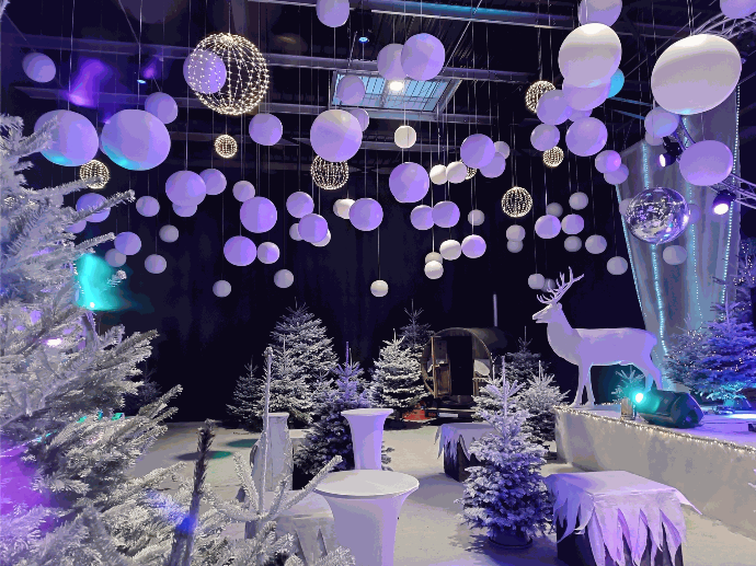location décoration événementielle banquise / ski location décoration événementielle banquise / ski