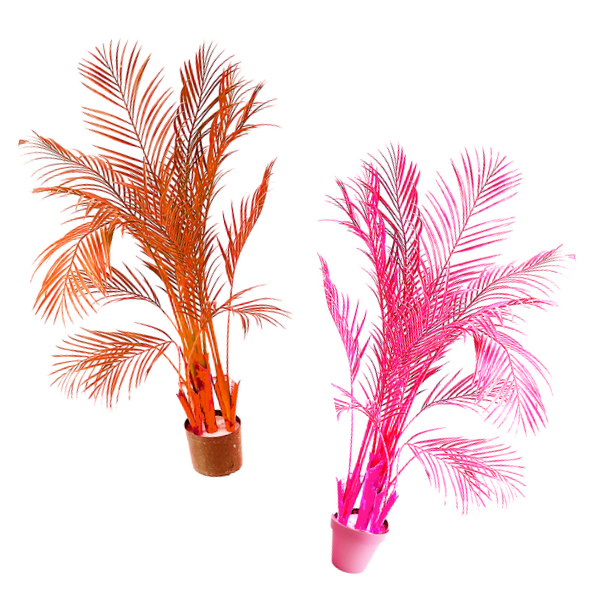 plantes colorées-location Libérateur d'idées