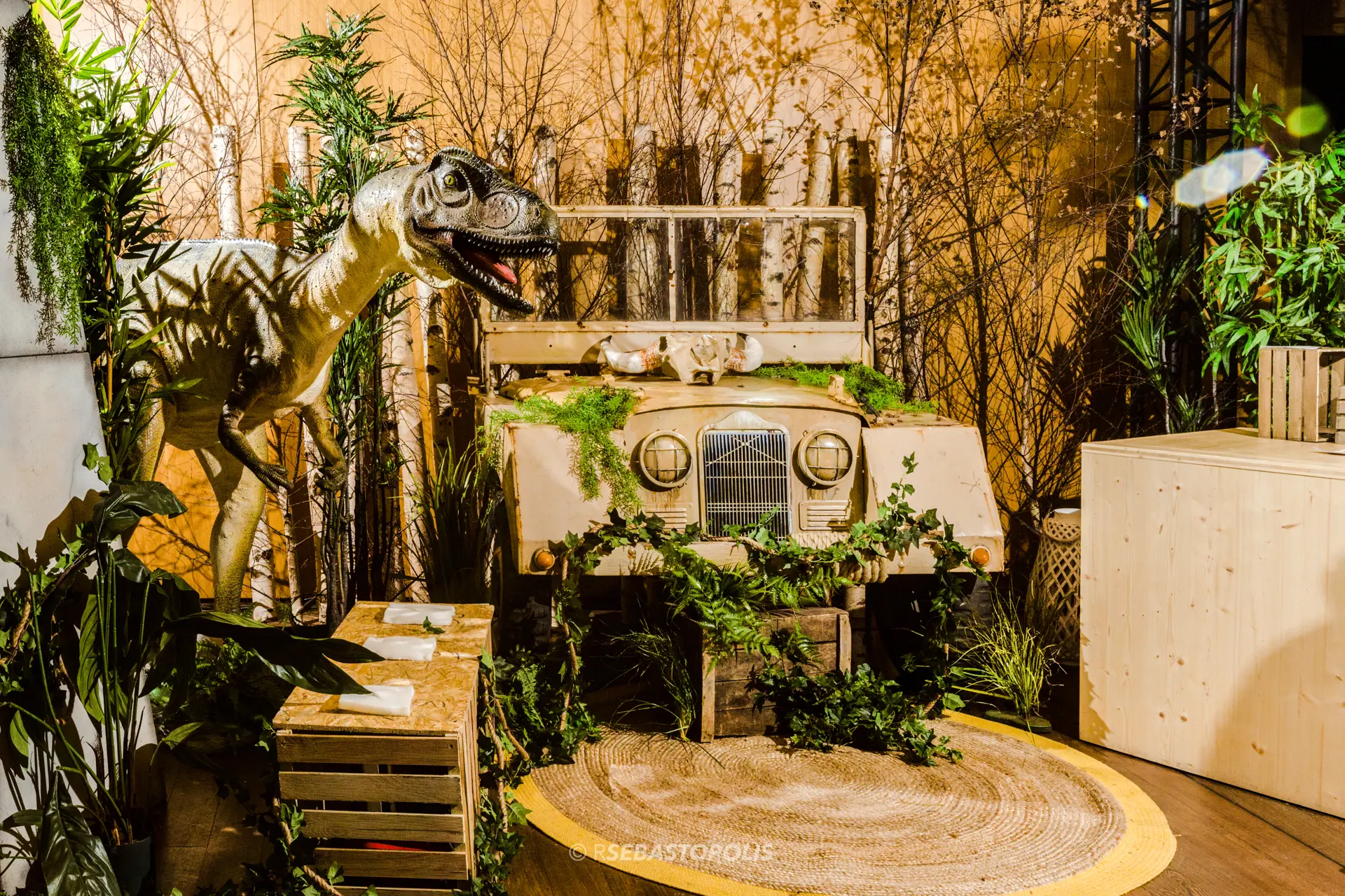 Décors Dinosaure – Location de décoration événementielle​