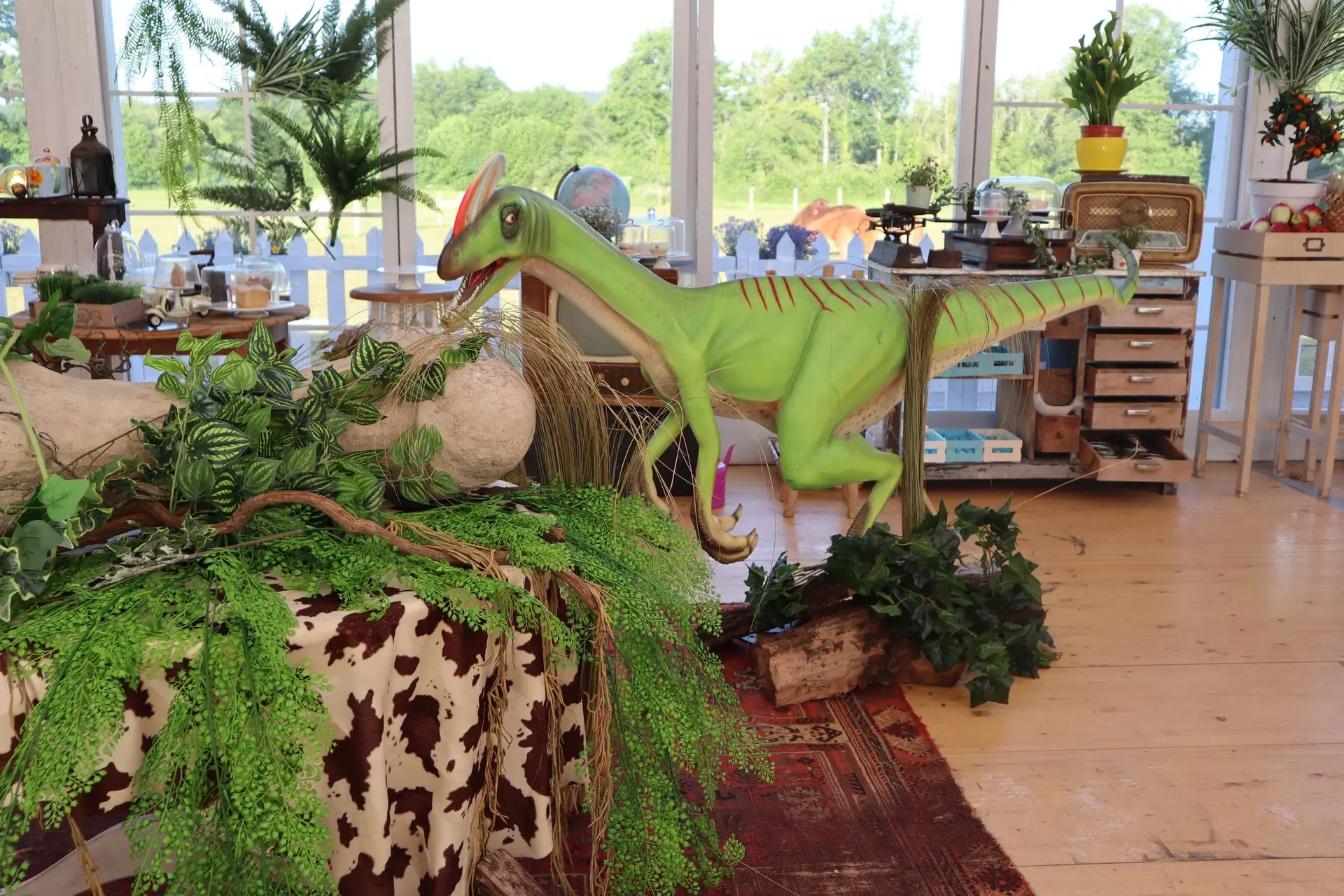 Décors Dinosaure – Location de décoration événementielle​