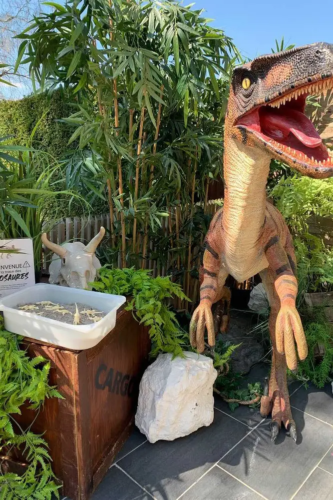 Décors Dinosaure – Location de décoration événementielle​