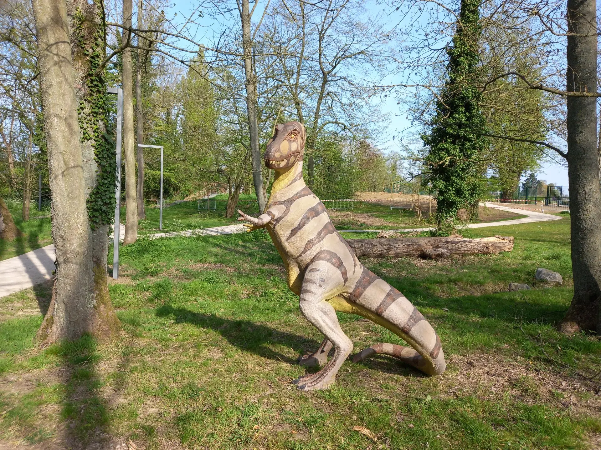 Décors Dinosaure – Location de décoration événementielle​
