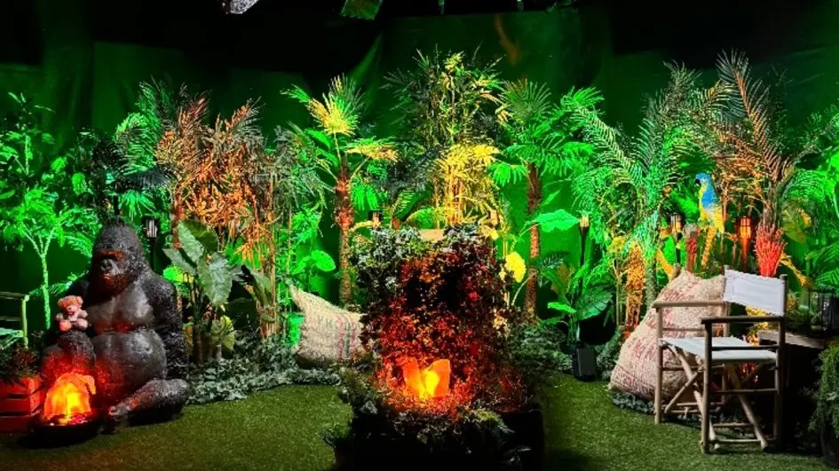 Libérateur d'idées - Location décoration événementielle Safari Libérateur d'idées - Location décoration événementielle Safari