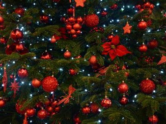 Libérateur d'idées, décoration événementielle - Saisons et fêtes / Noël