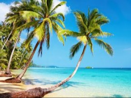 Libérateur d'idées, décoration événementielle - Tour du monde / Caraibes