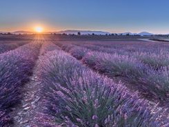 Libérateur d'idées, décoration événementielle - Tour du monde / Provence