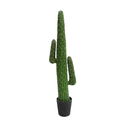 Cactus 160cm
