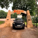 Arche Jurassic Park - Hauteur 3,5m