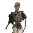 Squelette Zombie