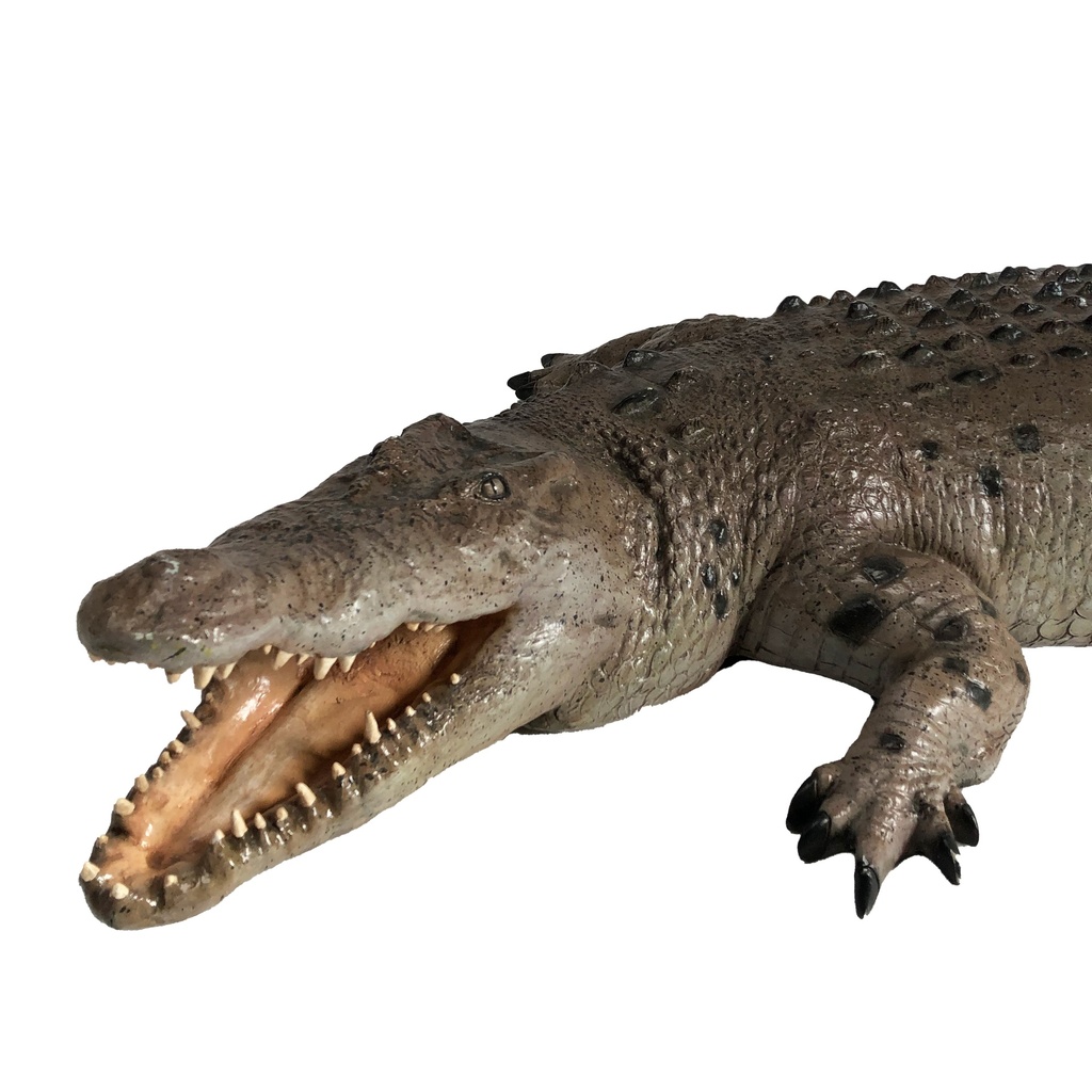 Crocodile XL