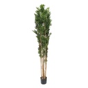 Bambou - 230cm