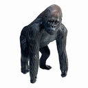 Gorille - 130cm