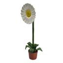 Fleur pâquerette - 170cm