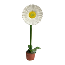 Fleur pâquerette - 170cm