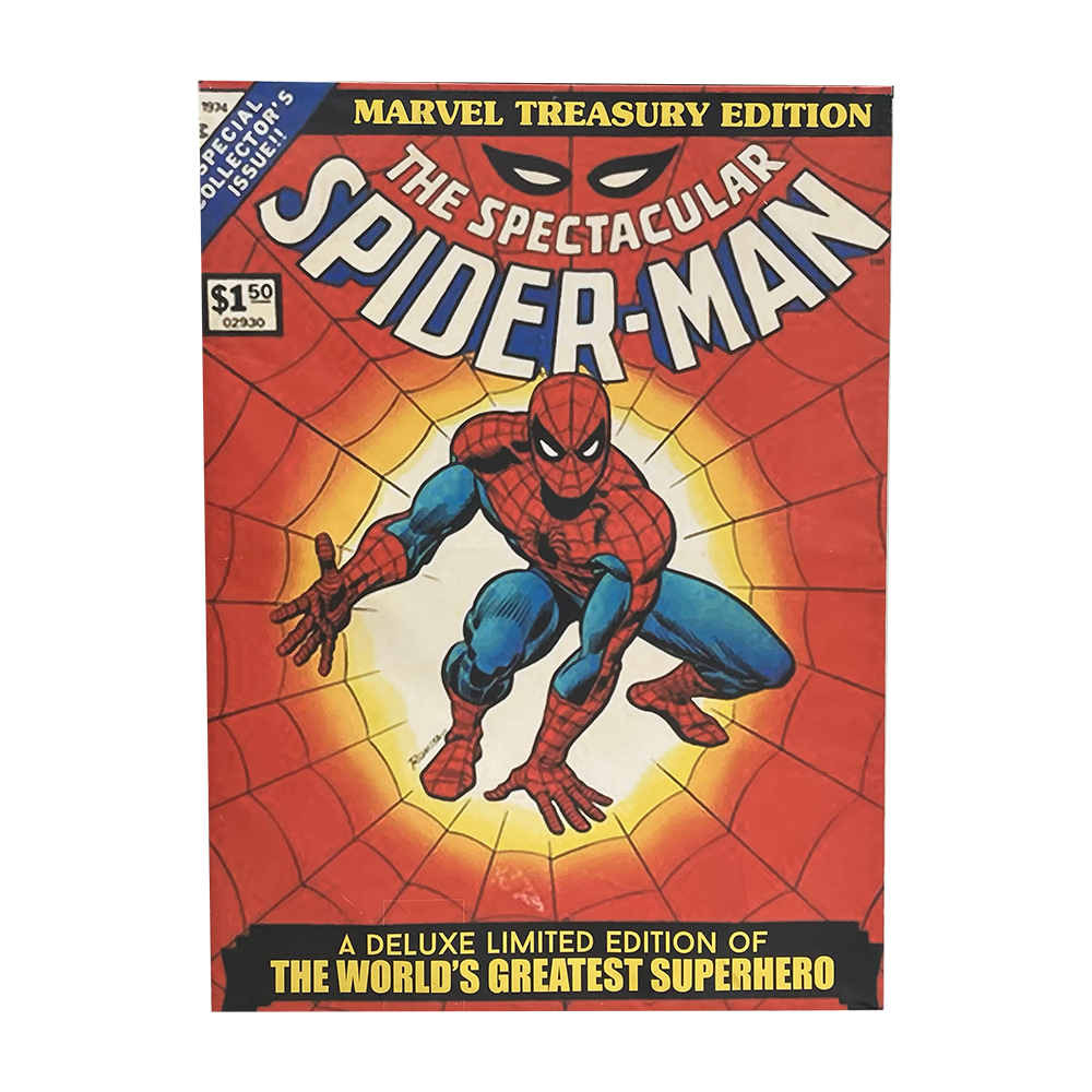 Toile comics Spiderman - 244cm