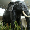 Eléphant taille réelle - 300cm