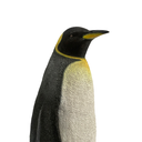 Pingouin - 96cm