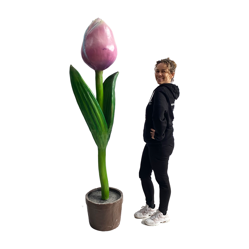 Tulipe colorée - 180cm