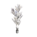 Plante kentia coloré - 180cm