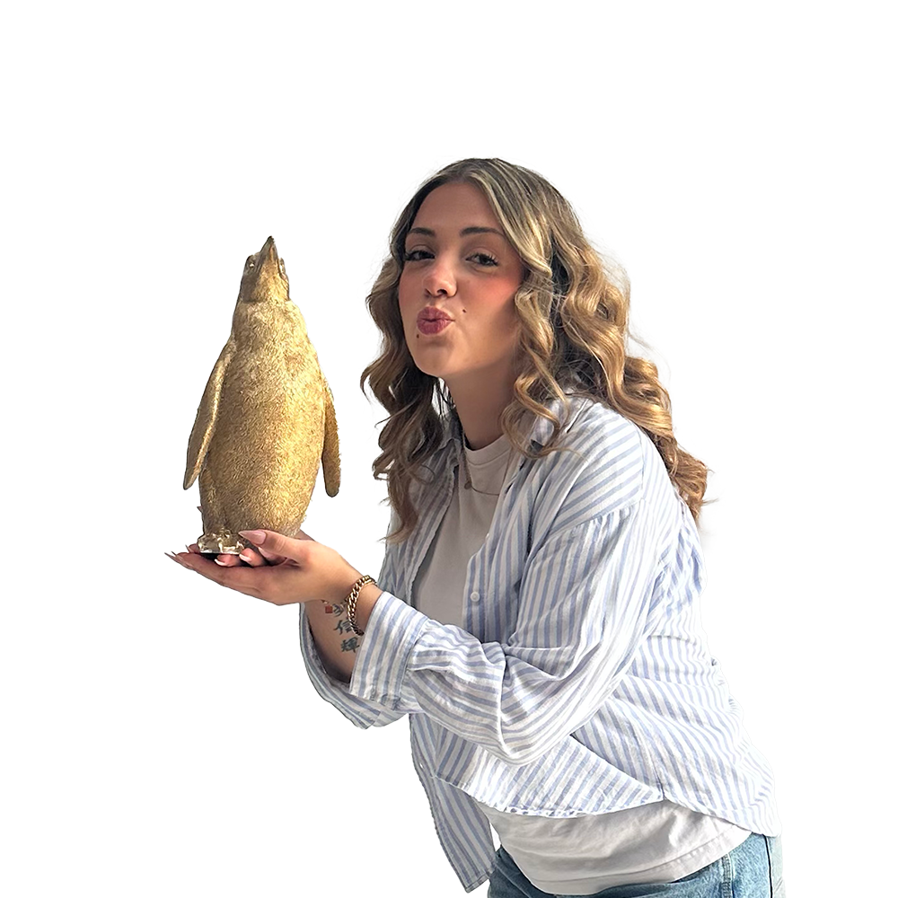 Petit pingouin (couleur au choix) - 30cm