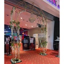 Arche royale (rouge ou blanche)